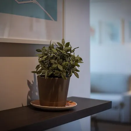 Architect's Beach Apartament *